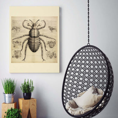 Drawings Beetle 03 Da Vinci Style Vintage Framed Canvas Prints Wall Art Hanging Home Decor